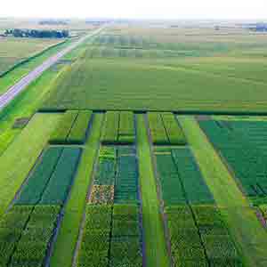 Aerial View Of A WinField United Answer Plot